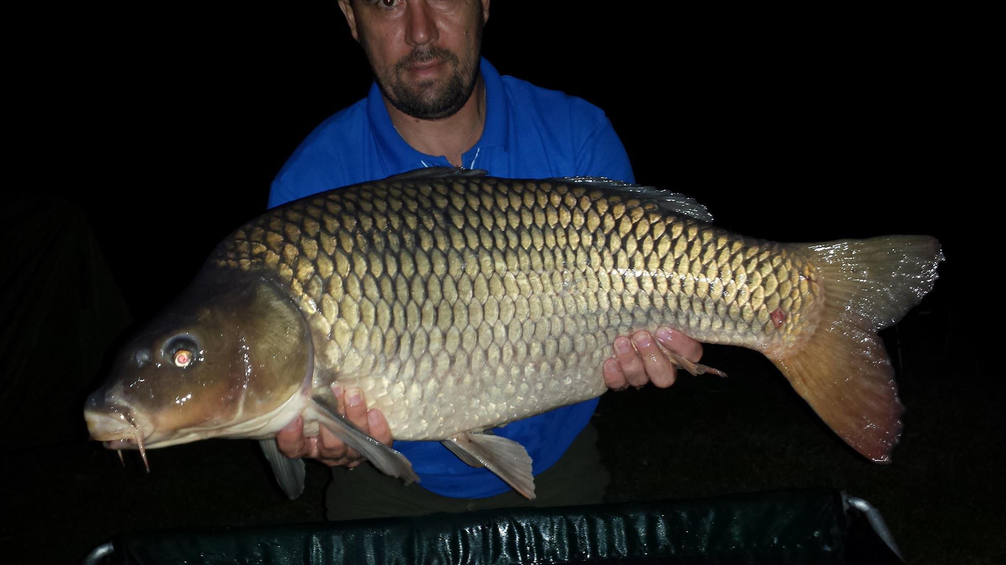 Hermes Peris 12 - 13 august 2015 - 20150813023440.jpg